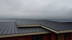 Best Roof Coating and Sealing  in Perezville, TX